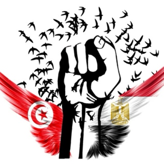 Tunisian and Egyptian Revolutions 