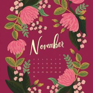 November 