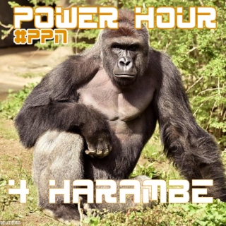PPN Power Hour For Harambe [Hip Hop/Trap/EDM]