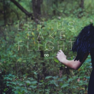 Let Us Take Flight
