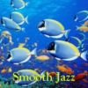 Smooth Jazz - Vol.29