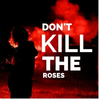 don't kill the roses