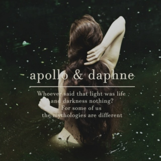 apollo & daphne