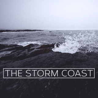 Storm Coast Companion