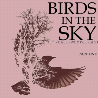 birds in the sky (this is why we fight) pt1
