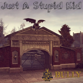 Just A Stupid Kid