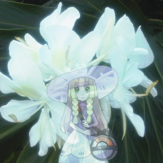 Seed to Bloom; A Lillie Fanmix
