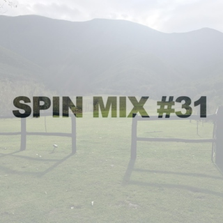 SPIN MIX #31