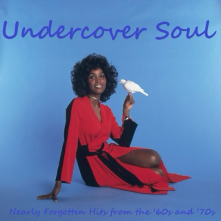 Undercover Soul