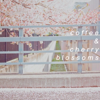 coffee & cherry blossoms