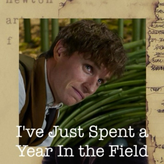 I've Just Spent a Year In the Field