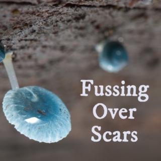 Fussing Over Scars