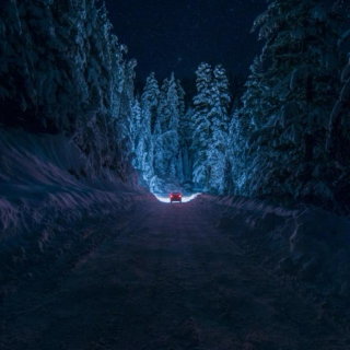 Winter Night Drive
