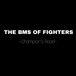BMS OF FIGHTERS ~Champion's Road~