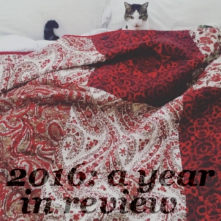2016: a year in review