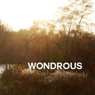 + wondrous 