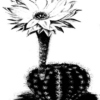 Little Cactus Flower