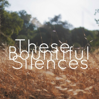 These Bountiful Silences