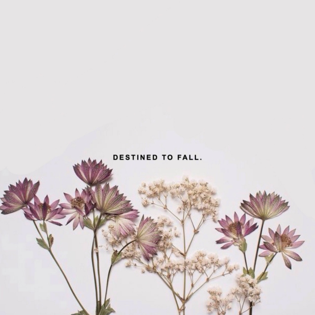 destined to fall 