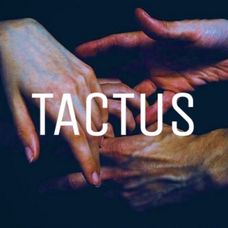 tactus.