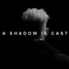 a shadow is cast: a gellert grindelwald mix