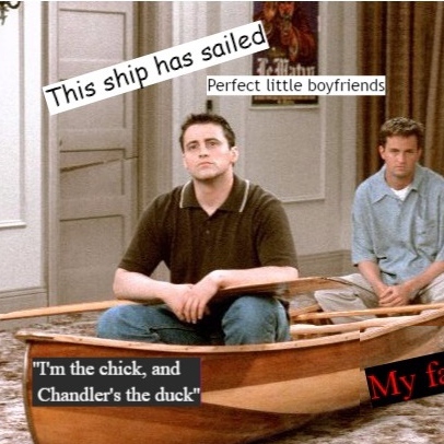 the chick + the duck 