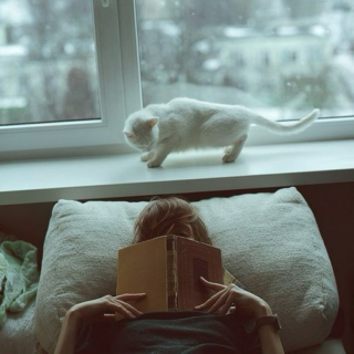 Books & Cats