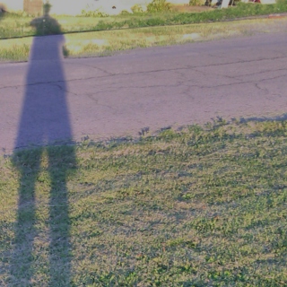 ME AND MY SHADOW:WALK MIX 1