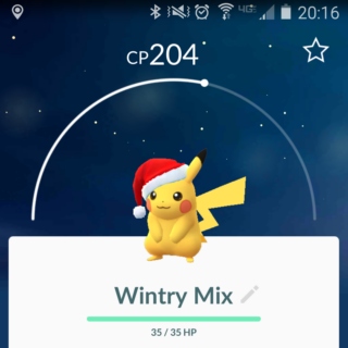 Wintry Mix - 2016