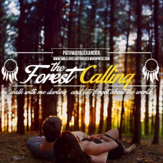 walk with me darling and lets forget about the world, The Forest Calling, INDIE FOLK PLAYLIST