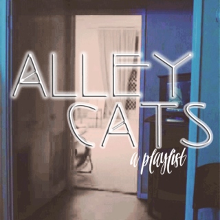 Alleycats 