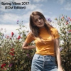 Spring Vibes 2017 (EDM Edition)