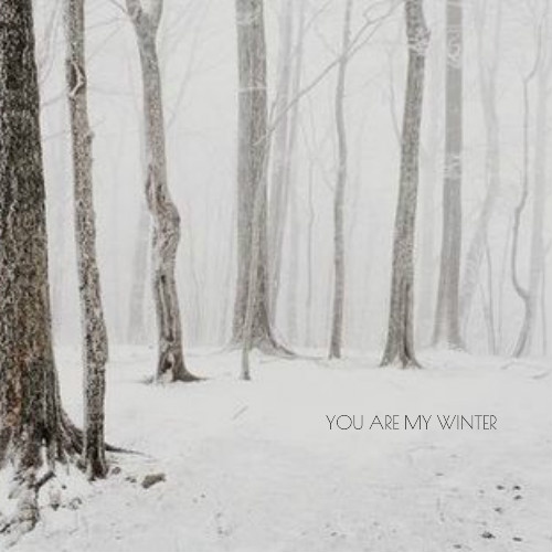 you are my winter