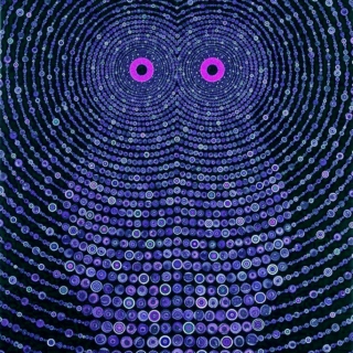 NIGHT OWL (techno)