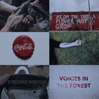 Adam Parrish / The Raven Cycle