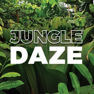 Jungle Daze