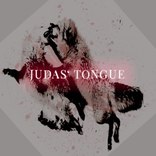 Judas' Tongue
