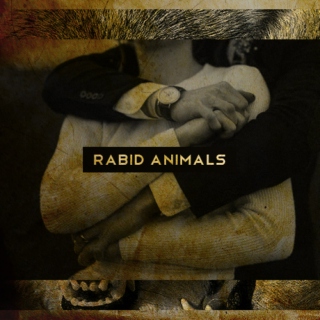Rabid Animals