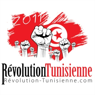 2011 Tunisia and Egypt Revolutions 
