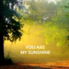 //You Are My Sunshine//