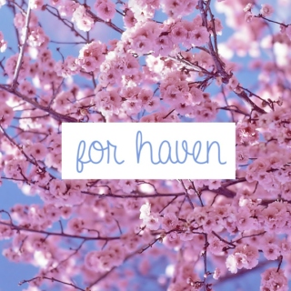 for haven