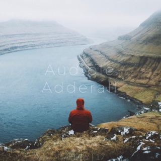 Audible Adderall | 4.17