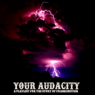 Your Audacity