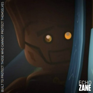 Echo Zane - Built to protect those who cannot protect themselves