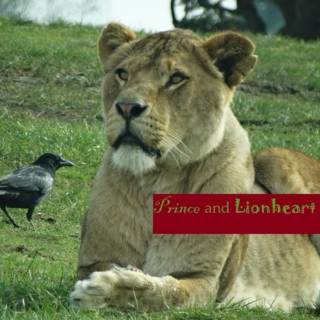 Prince and Lionheart