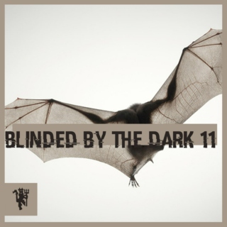 Blinded By The Dark 11