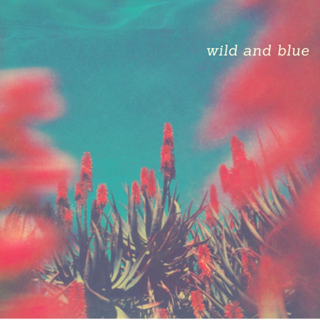wild and blue