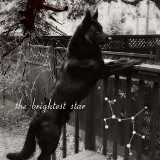 the brightest star [sirius black]