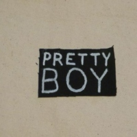 pretty boy;;