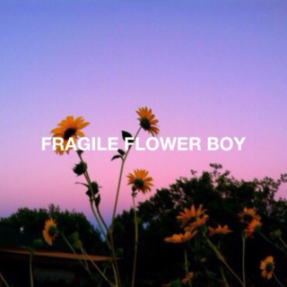 FRAGILE FLOWER BOY